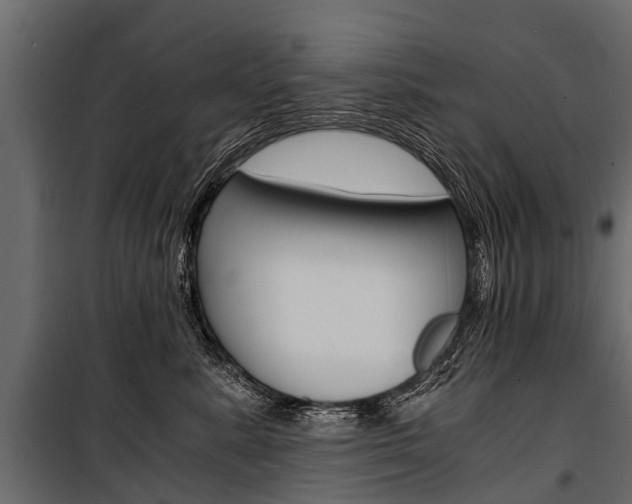X0000100940619200806241204