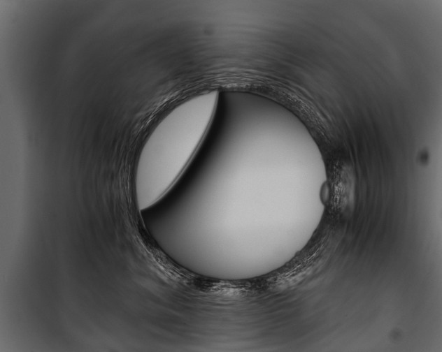 X0000100940620200806241204