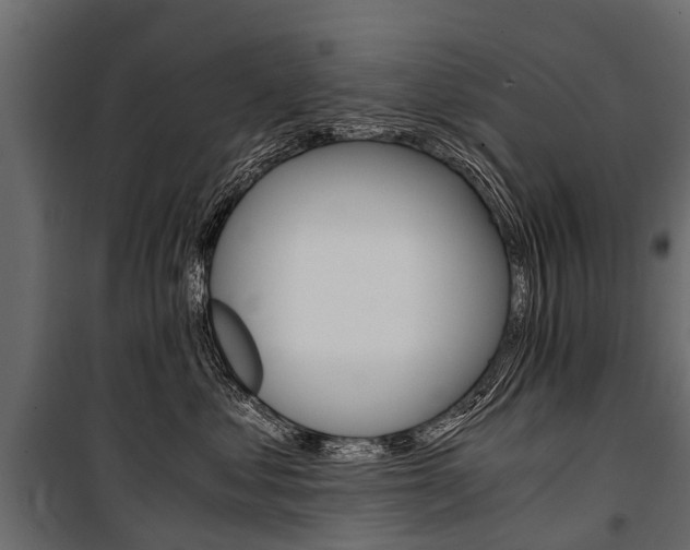 X0000100940621200806241204
