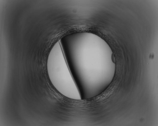 X0000100940624200806241204