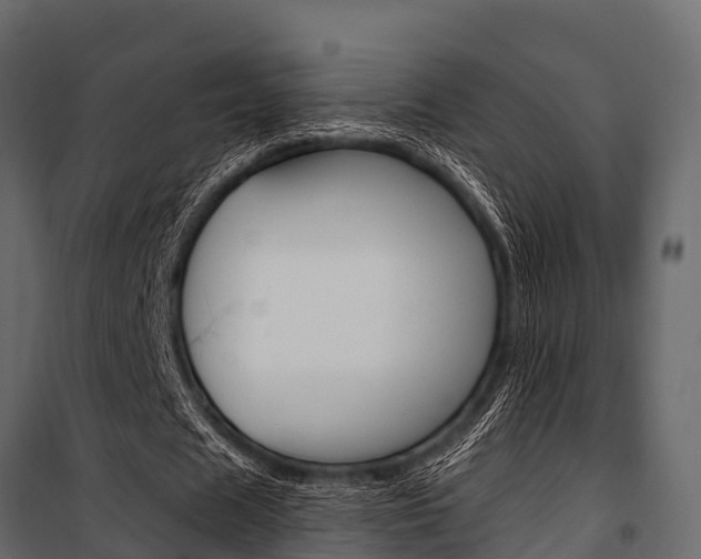 X0000100940625200806241203
