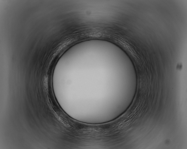 X0000100940626200806241203