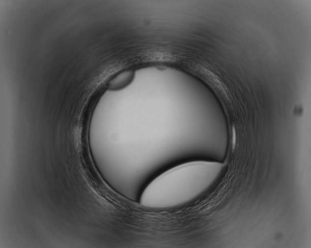 X0000100940627200806241203