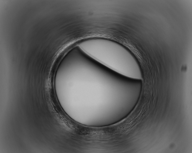 X0000100940628200806241203