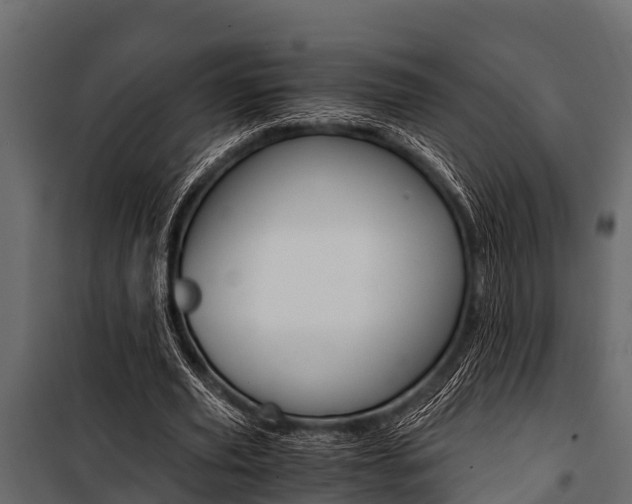 X0000100940629200806241203