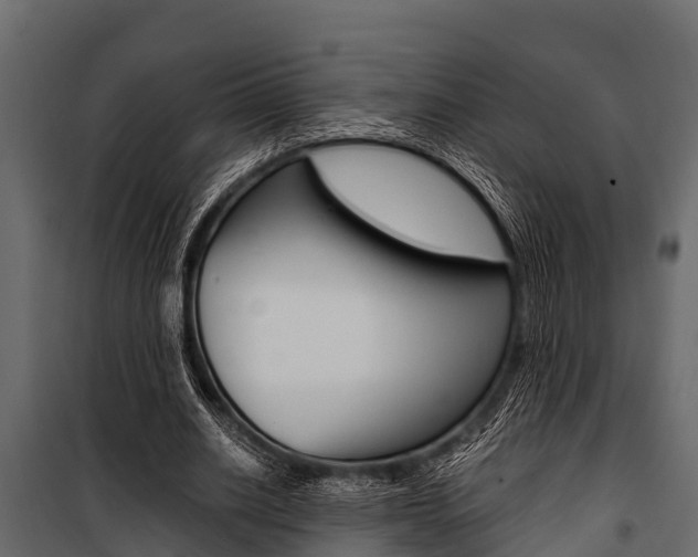X0000100940630200806241203