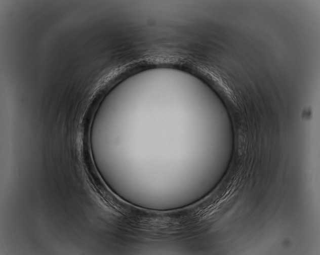 X0000100940631200806241203