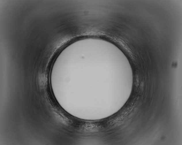 X0000100940632200806241203