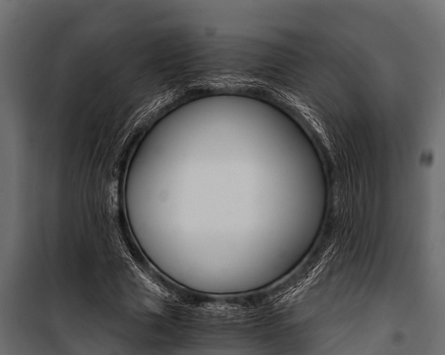 X0000100940633200806241203