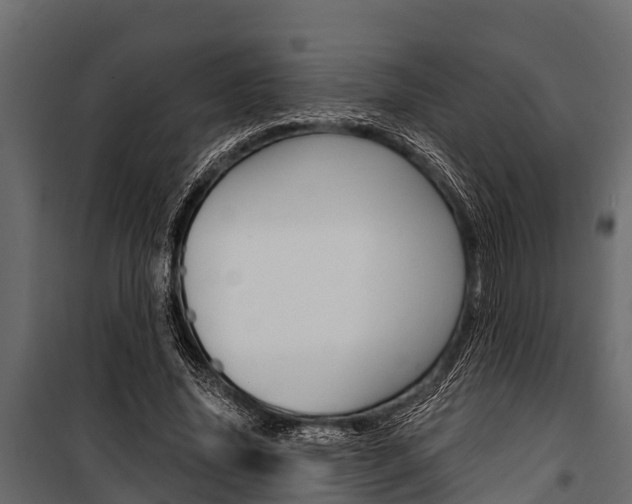 X0000100940636200806241203