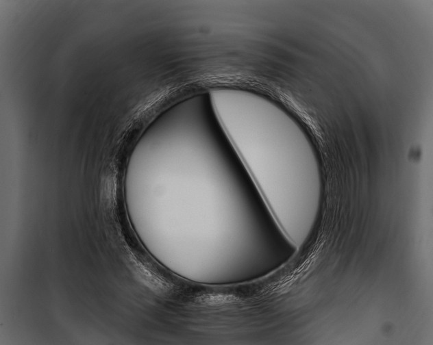 X0000100940637200806241203