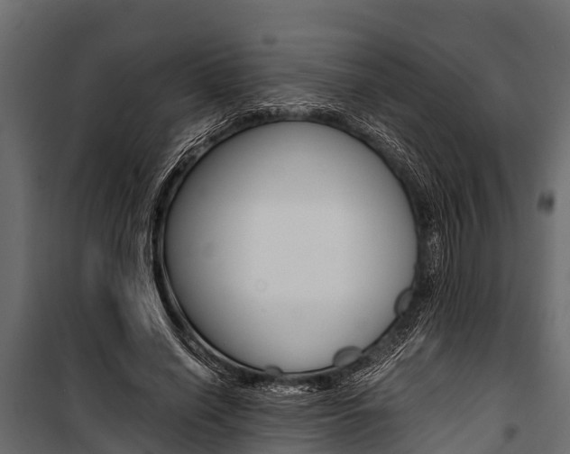 X0000100940638200806241203