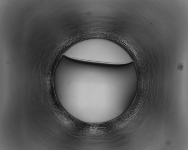 X0000100940641200806241203