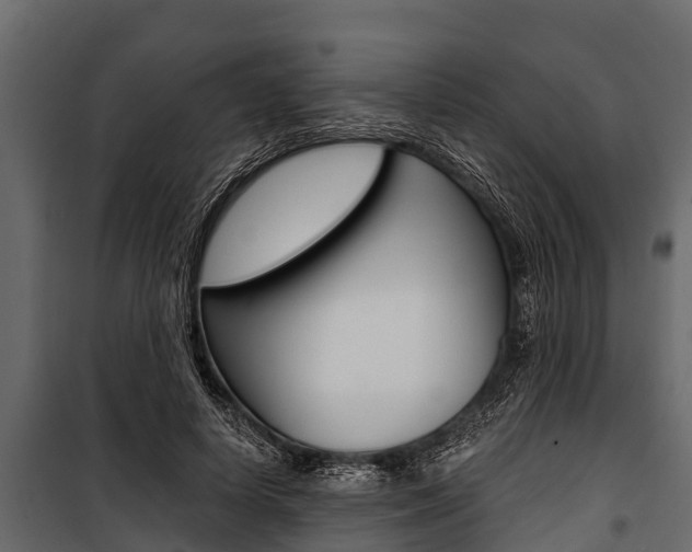 X0000100940642200806241203