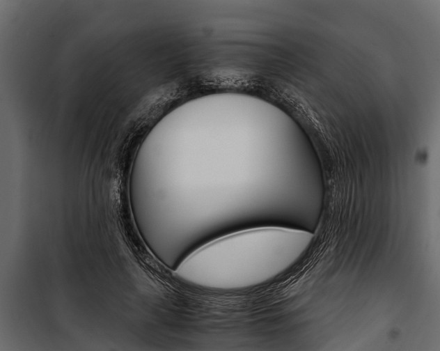 X0000100940643200806241203