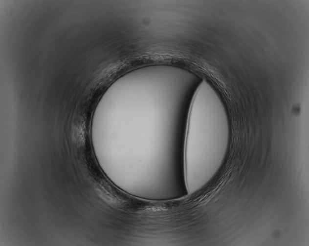 X0000100940644200806241203