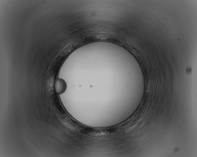 X0000100940646200806241203