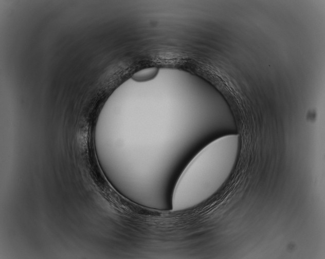 X0000100940647200806241203