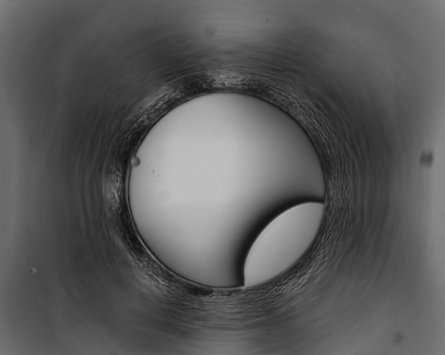 X0000100940648200806241203