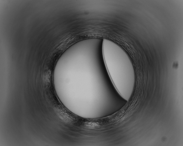 X0000100940649200806241203