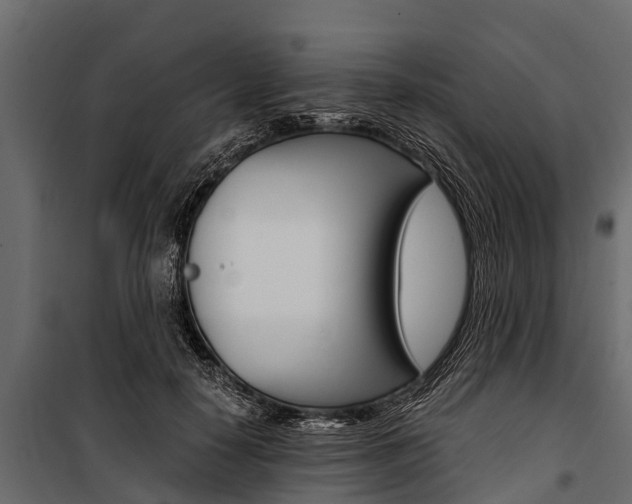 X0000100940650200806241203