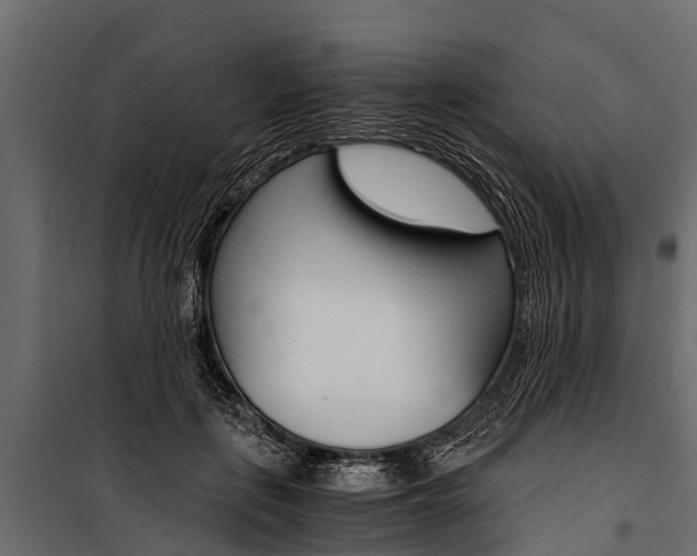 X0000100940651200806241203
