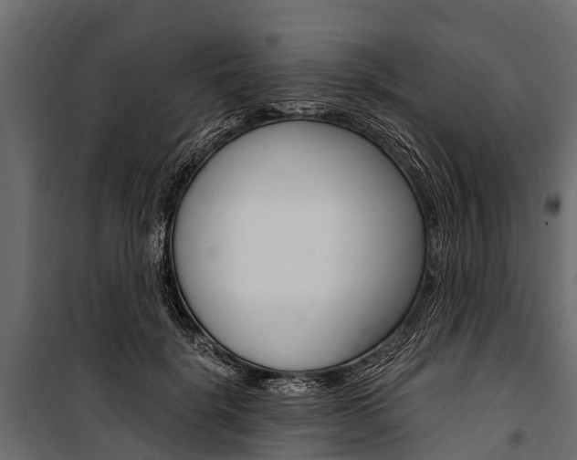 X0000100940652200806241203