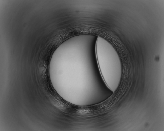 X0000100940653200806241203
