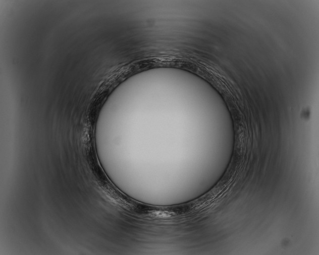 X0000100940654200806241203