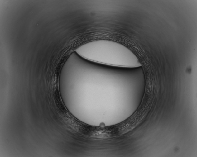 X0000100940657200806241203