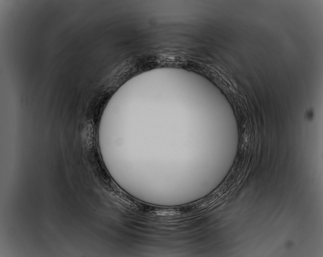 X0000100940659200806241203