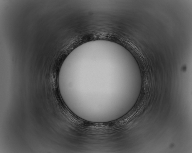 X0000100940661200806241203