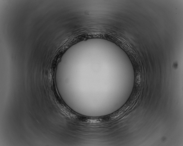 X0000100940662200806241203