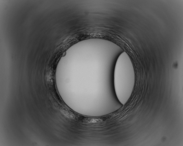 X0000100940663200806241204