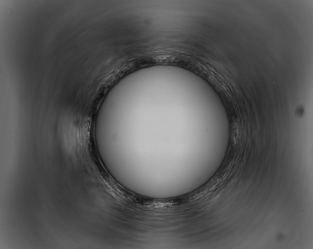 X0000100940664200806241204