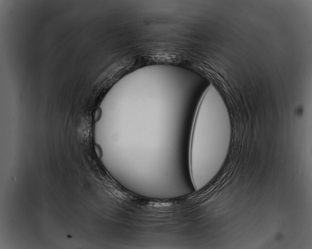 X0000100940665200806241204