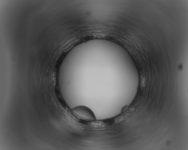 X0000100940666200806241204
