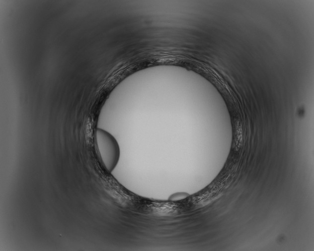X0000100940667200806241204