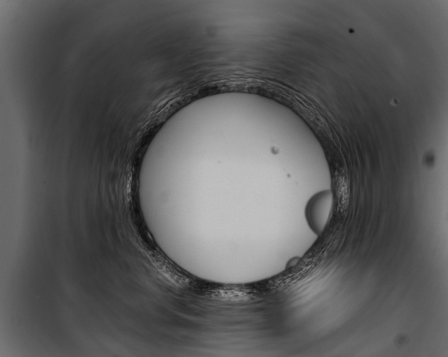 X0000100940668200806241204
