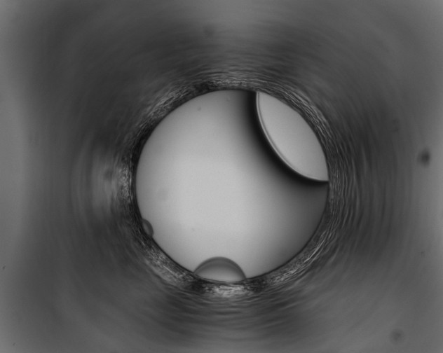 X0000100940669200806241204