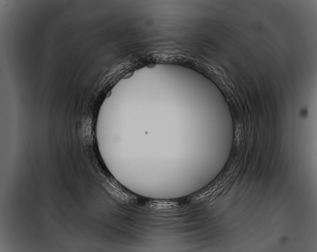 X0000100940670200806241204