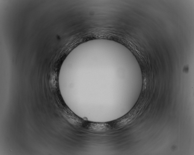 X0000100940671200806241204