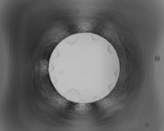 X0000100940672200806241204