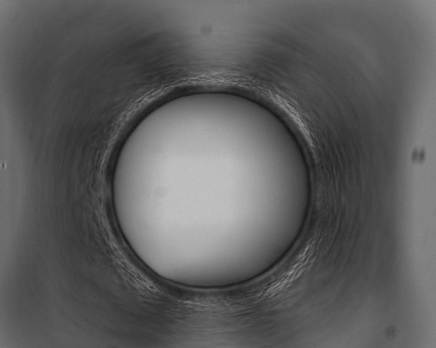 X0000100940673200806241203