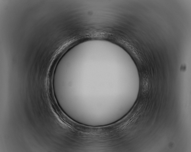 X0000100940674200806241203