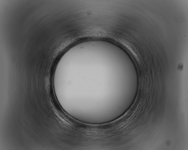 X0000100940677200806241203