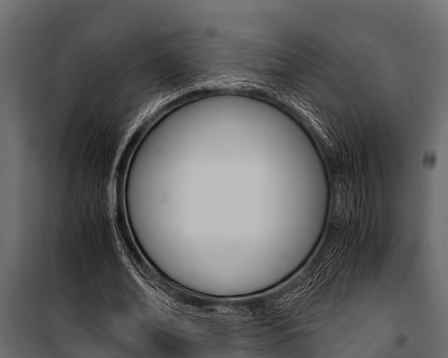 X0000100940678200806241203