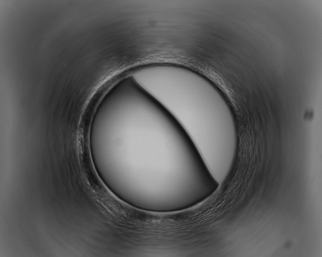 X0000100940680200806241203