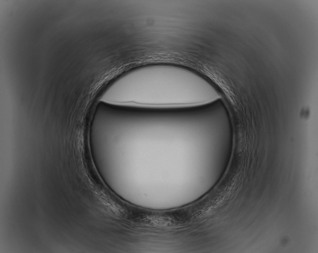 X0000100940681200806241203