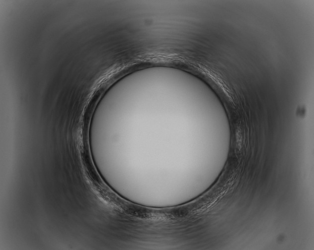 X0000100940682200806241203